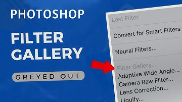 Adobe Photoshop - Unable to Use Filter and Filter Gallery (Greyed Out) - Quick Fix