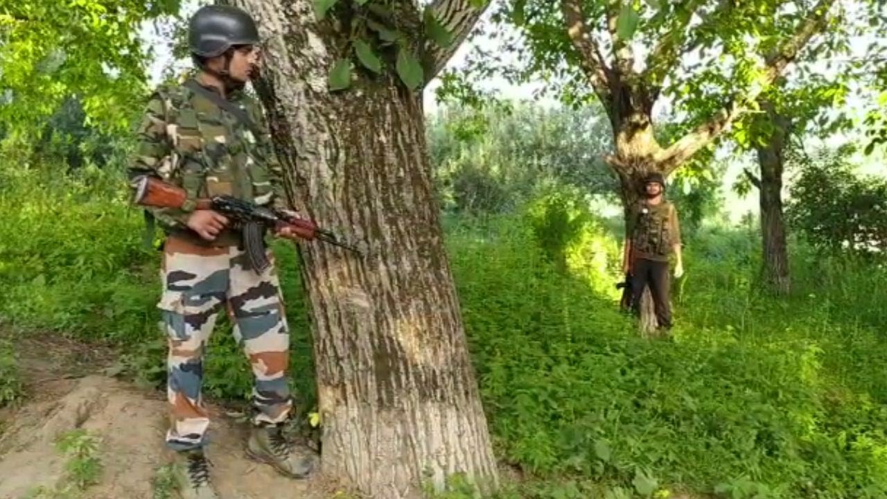 Shopian Encounter: 3 Militants Shot Dead