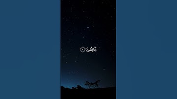 الذين يرثون الفردوس خالدين فيها | تلاوة خاشعة بصوت ماهر المعيقلي