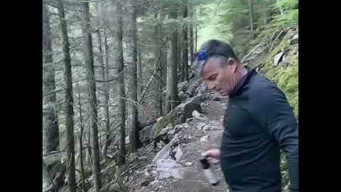 Grizzly meets us on the trail in Glacier National Park-June 2021