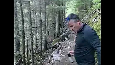 Grizzly meets us on the trail in Glacier National Park-June 2021