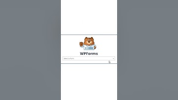 Embed a Form On Your WordPress Site In 3 Easy Ways!