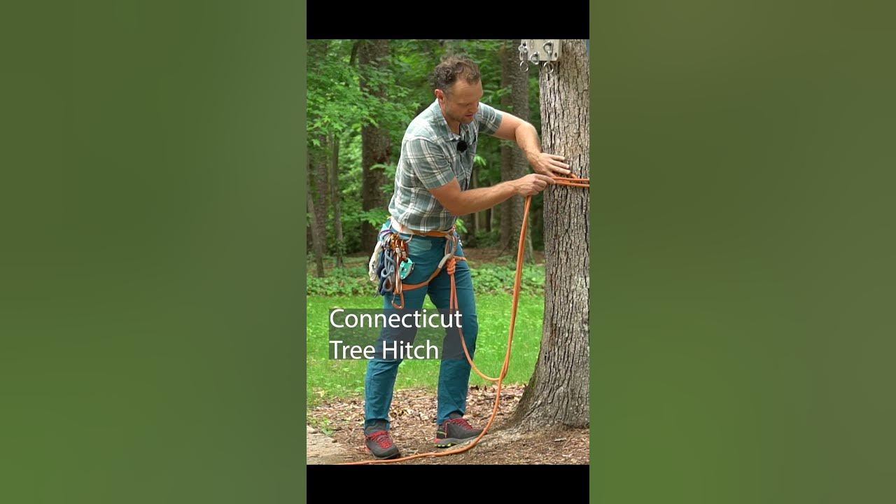 Conneticut Tree Hitch #climbing #rope #knots 