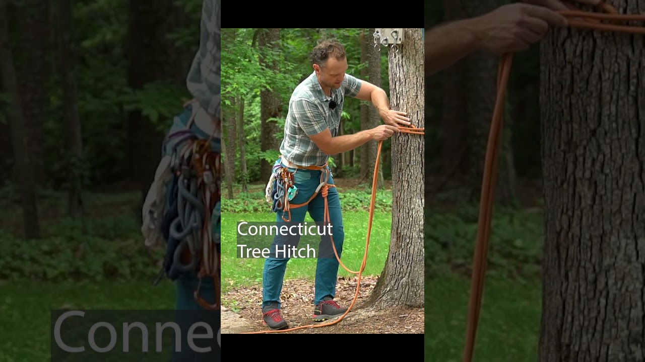 Conneticut Tree Hitch #climbing #rope #knots 