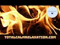432 & 528 Binaural Music | Soothing Music For Sleep | Relaxation Music For Studying | Study Music.