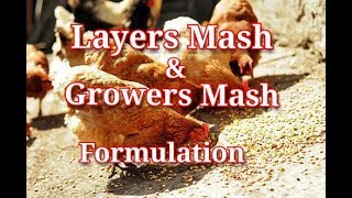 How to make Layers Mash and Growers Mash for chicken