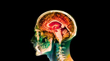 Overstimulation Is Killing Your Mind