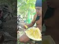 #freshsweetcorn