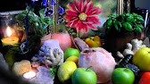 Mold Your Brain and Essential Oils April 4th, 2015 - YouTube