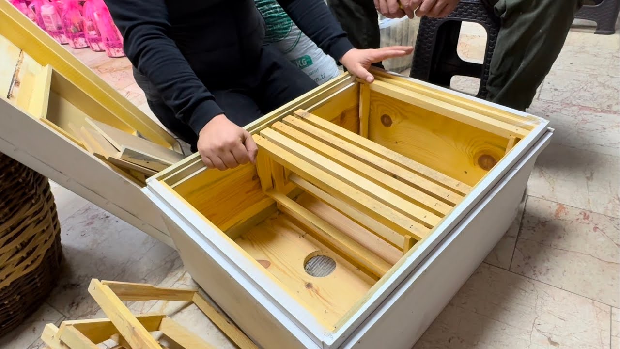 Tabut kovan sistemini inceledik.