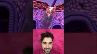 Coolest Hair Follicle Animation Ever