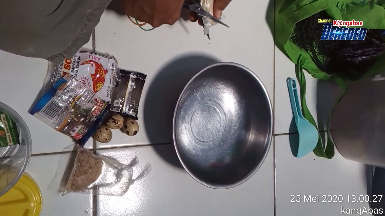 Umpan Ikan Mas anti Zonk #BIKIN TETANGGA BENGONG (part II)