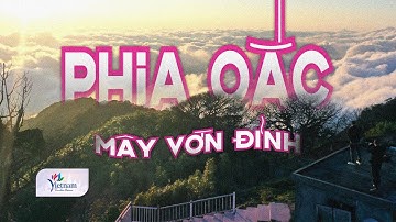 Phia Oắc: "Nóc nhà" cao 1.931m giữa rừng nguyên sinh ở Việt Nam | Vietnam Tourism