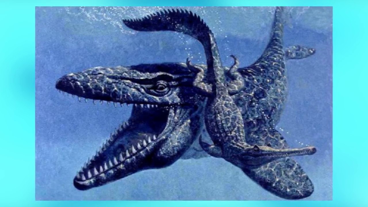 10 Prehistoric Terrifying Sea Monsters YouTube