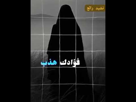 هذب فؤادك بالحياء بدون موسيقى أناشيد