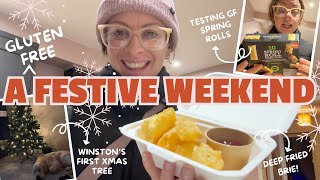 Gluten Free Pasties, Party Food & Deep Fried Brie! | Vlogmas Days 3 & 4