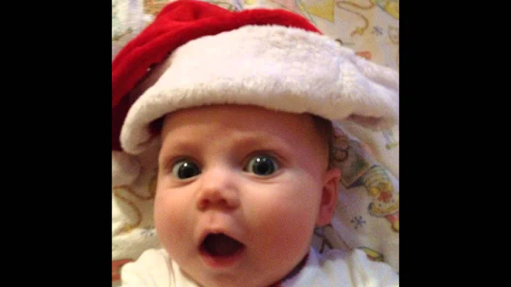 Lilly's first year