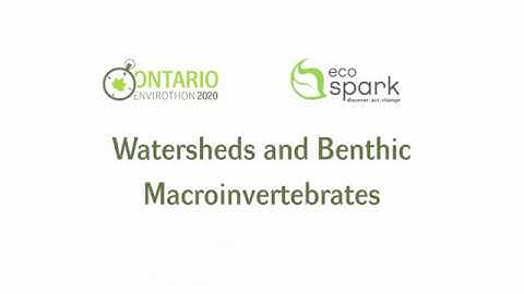 Ontario Envirothon Virtual Lab: Watersheds and Benthic Macroinvertebrates