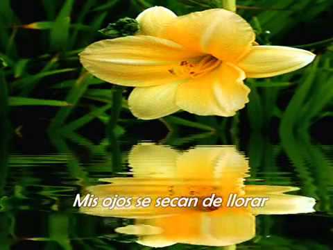 Si ves a mi amado ♥ Lilly Goodman