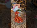 Caprese Panzanella RECIPE on dinnerin321.com #easyrecipe #delicious #recipe #yummy #salad #summer