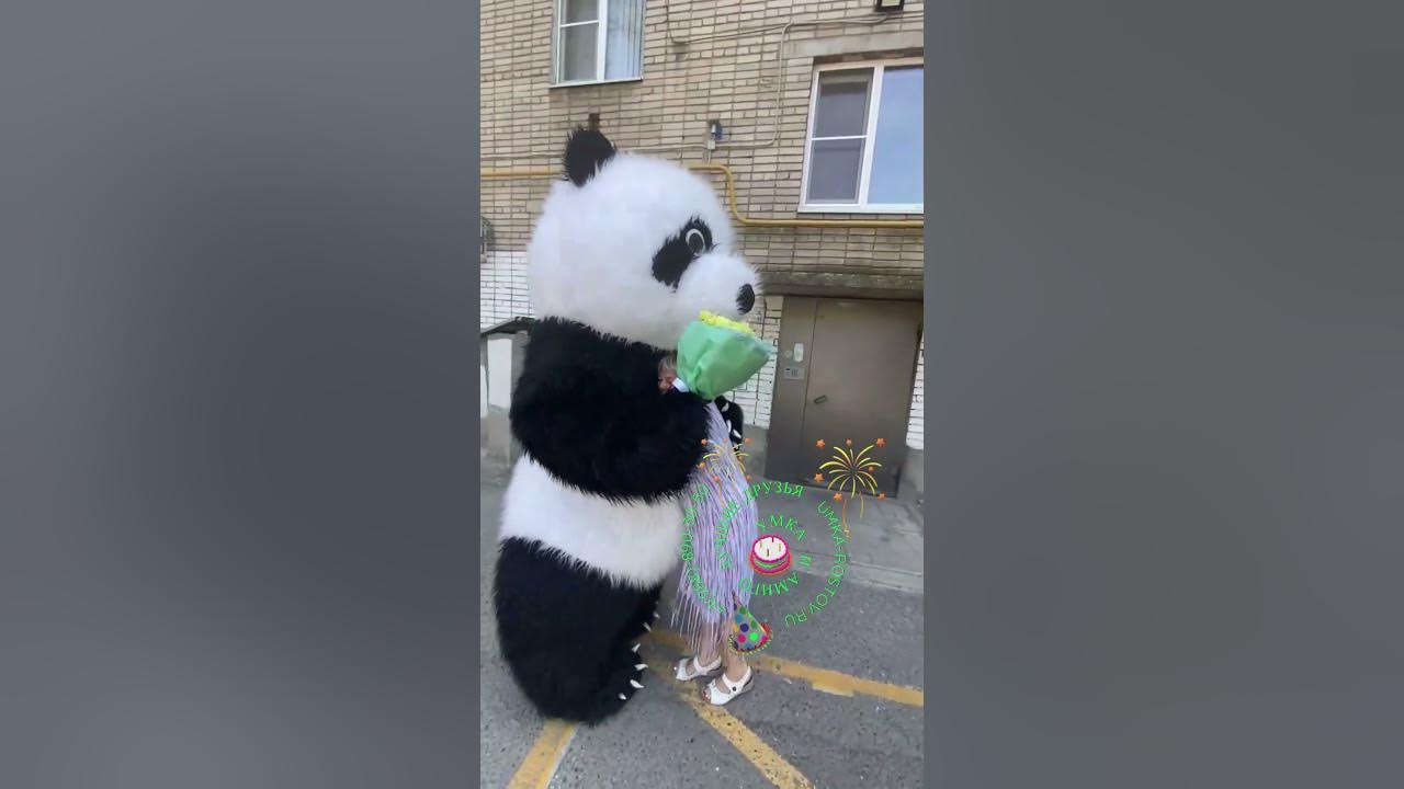 Амиго поздравил с Днем рождения #panda #umka #Амиго #Умка #dance # ...