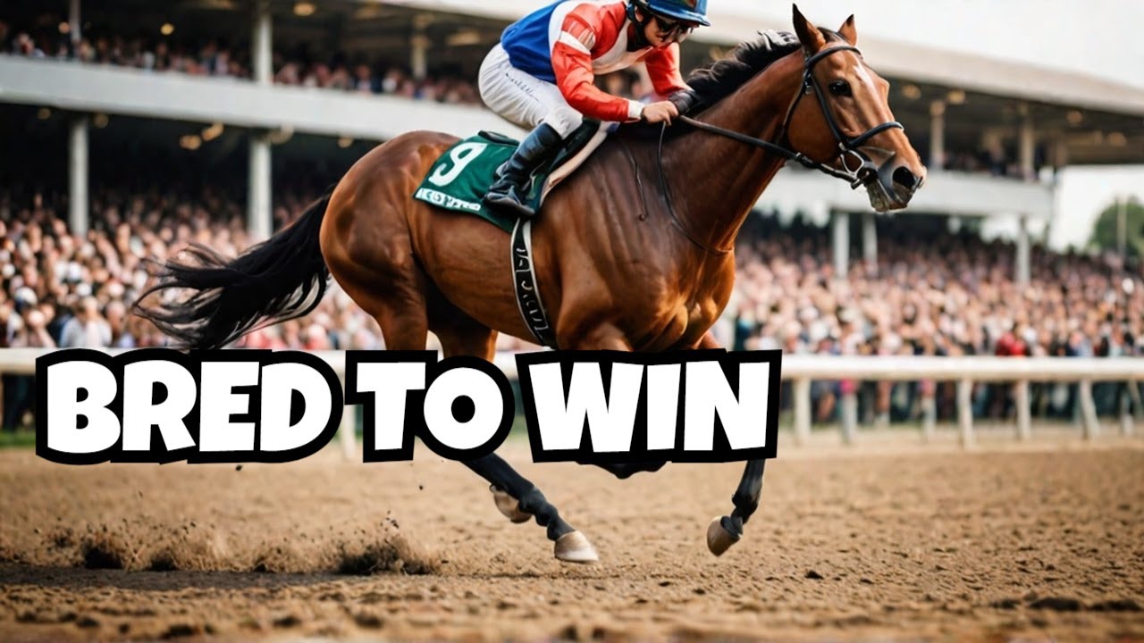 How These Racehorses Became Legends