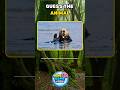 Can You Identify Both Animals in 5 Seconds? Guess the Animal #shorts