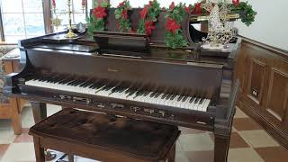 I Ain't Got Nobody (And Nobody Cares For Me) played on 1930 Steinway XR Duo-Art reproducing piano.