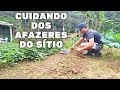 CUIDANDO DOS AFAZERES DO SÍTIO, MUITO TRABALHO, MAS É MUITO BOM MORAR NA ROÇA!