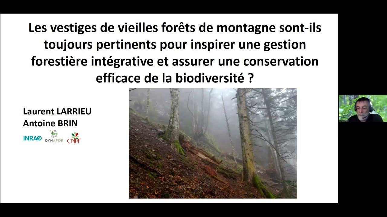 Are the remnants of old-growth mountain forests always relevant to inspire close-to-nature (...)