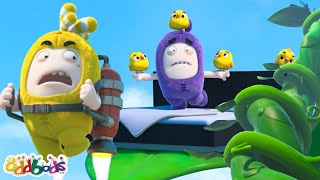 Jeff e la pianta di fagioli 🍃 | Cartoni Animati 📺 | Video divertenti | Oddbods Italia