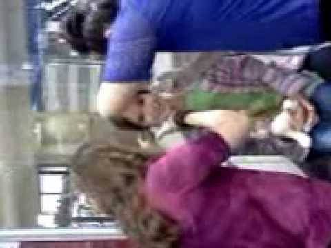 VID 20121227 155604