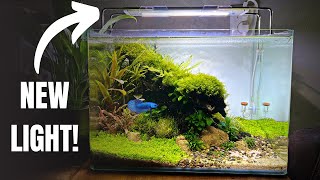 UNBOXING A BRAND NEW LIGHT FOR MY BETTA AQUASCAPE! AquaIllumination Blade screenshot 5