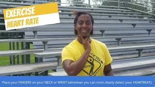 FFC Step Challenge Introduction