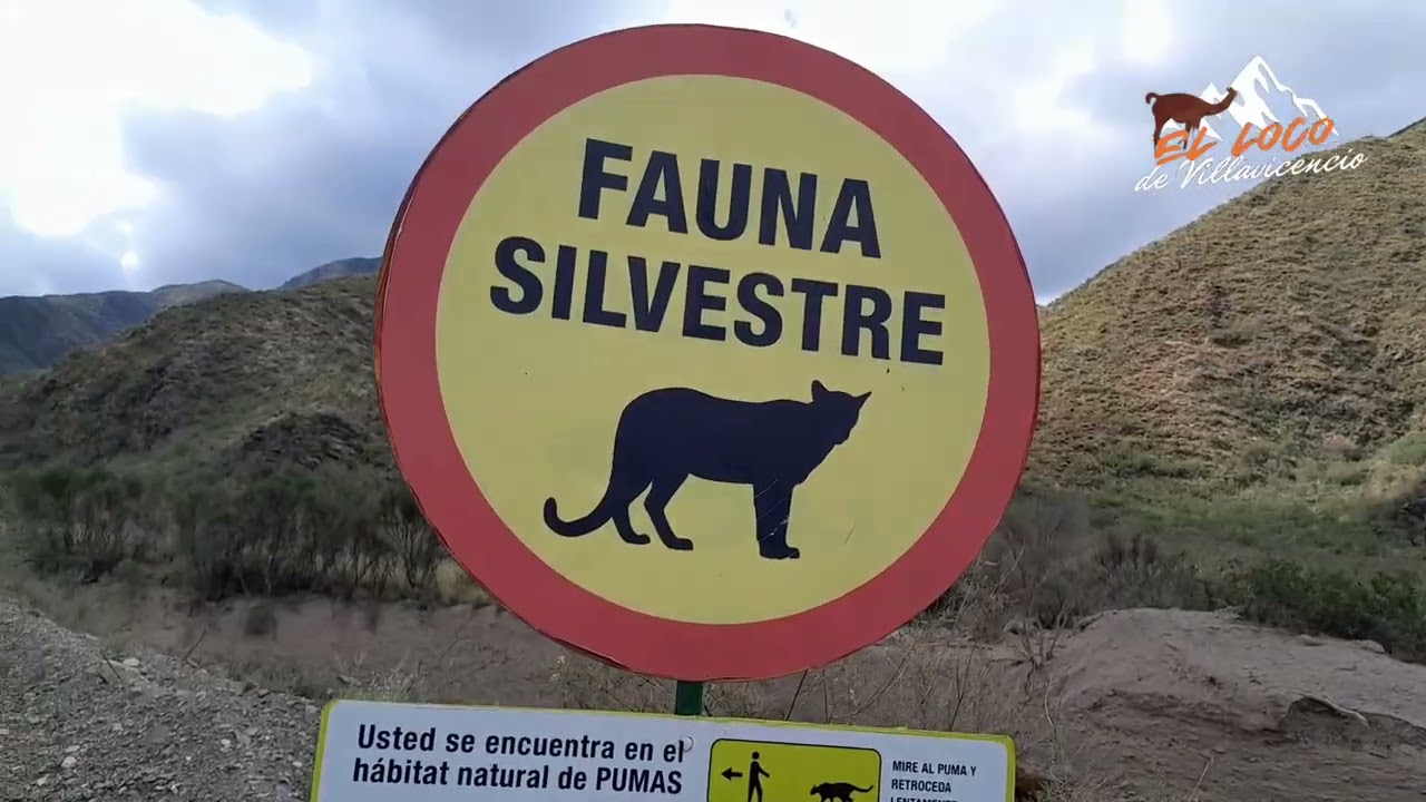 Dedicado a ustedes Suscriptores 