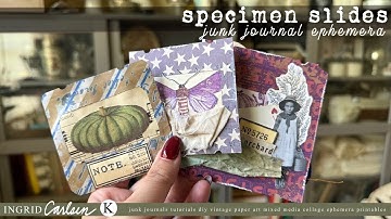STOP SCROLLING. START MAKING! How to Make Vintage Specimen Slides for Junk Journals