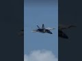 fighterjet f18 hornet blueangel team airforcelover