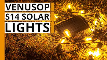 Venusop S14 Solar String Lights Review