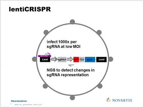 CRISPR CAS9 Screening