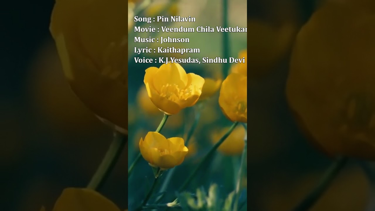 Watch Pin Nilavin (Veendum Chila Veetukaryangal) - Johnson, Kaithapram, K.J.Yesudas, Sindhu Devi on YouTube Watch Pin Nilavin (Veendum Chila Veetukaryangal) - Johnson, Kaithapram, K.J.Yesudas, Sindhu Devi on YouTube