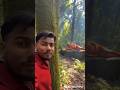 jungle mein Hanuman ji ke darshan