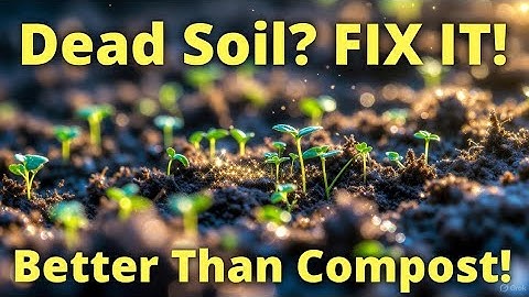 “The Secret Liquid That Fixes Damaged Soil Faster Than Compost | Revive Your Garden Instantly”