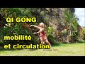 Qi gong mobilit et circulation fluidifier ouvrir tirer et assouplir votre corps
