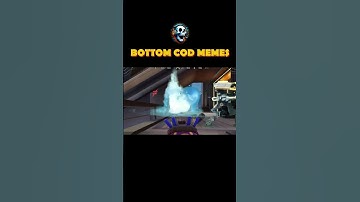 catching some busy a**es  #codmemes #codmbrfunnymoments #trollingnoobs