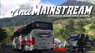 SPOT TURUN GUNUNG ❗❗ SPESIAL HUNTING BUS DI LERENG GUNUNG LAWU