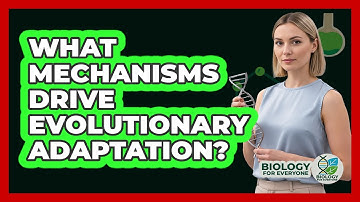 What Mechanisms Drive Evolutionary Adaptation?