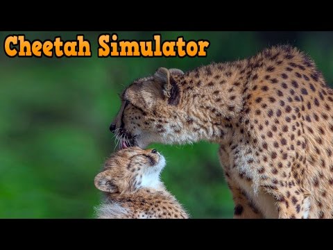 👍ultimate-🐈cheetah-simulator---uss---by-gluten-free-games---itunes/android