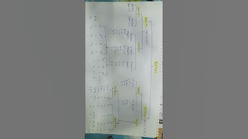 Lepton and baryon numbers,strangeness,spin,isospin,hypergerge of bosons and fermions.