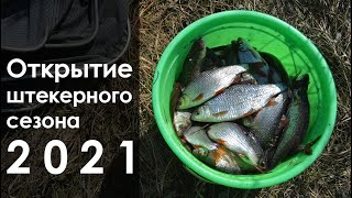 Открытие штекерного сезона 2021