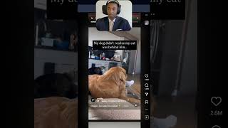Why Does He Have To Act Like That 🐶💢😤 #fyp #reels #viral #streamer #reaction #suit #tie #live #dog